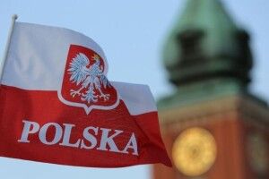 Понад 40 нелегальних мігрантів перевозила полька в автомобілі служби доставки