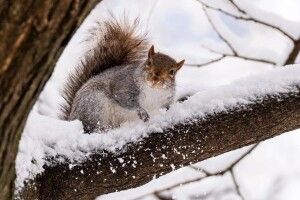 Якою буде погода на Волині 