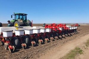 На Волині майже завершили посів ранніх ярих зернових та зернобобових культур