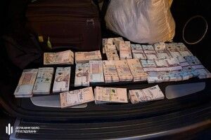 Лісова корупція під прицілом: розслідують вирубку дубів на Волині та в інших областях