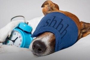 Волинська лікарка розповіла, в котрій годині треба лягати спати, щоб бути здоровими 