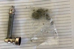 Соцмережі потішаються над «уловом» митників