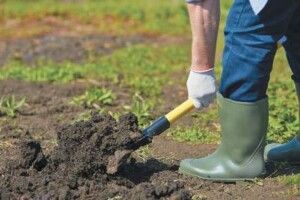 Рівнянин, обробляючи землю, натрапив на людські рештки 