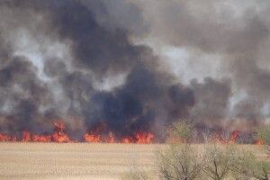 Горить національний природний парк