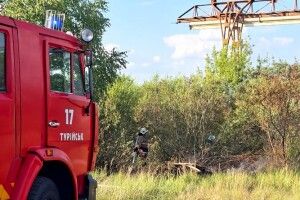 На Волині упіймали палія сухостою