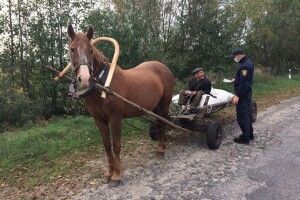 На Ратнівщині пожежники зупинили дядька на возу