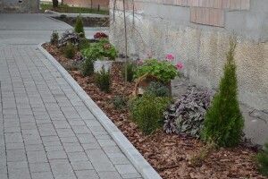  Ковельчан закликають бути господарями не тільки своїх помешкань