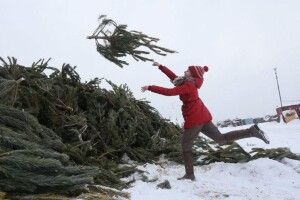 Жителям Володимира розповіли, куди виносити новорічні ялинки