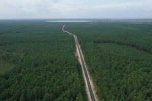 В цьому році на Волині відновлять майже 200 кілометрів державних доріг