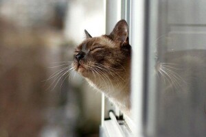 У Луцьку зафіксували температурний рекорд