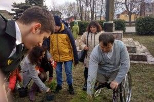 В Маневичах висадили алею на честь загиблих Героїв (Фото)