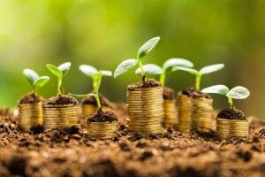 У приватну власність незаконно вивели понад 5 млн га землі