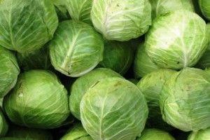 Капуста допомагає боротися з пухлинами