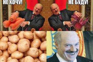 То хто з волинян молився на лукашенка? Влада Білорусі заборонила вивозити крупи, борошно і макарони