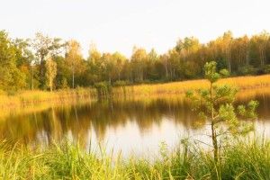 Волинські академіки гайнули пішкодралом навколо Чортового болота