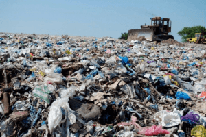 Лучани збирають підписи за перенесення Депертаменту муніципальної поліції міськради на сміттєзвалище біля села Брище