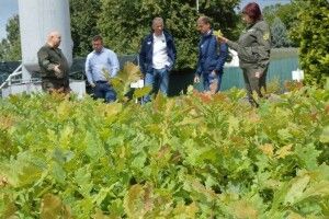 Шведи відзначили досвід волинських лісівників