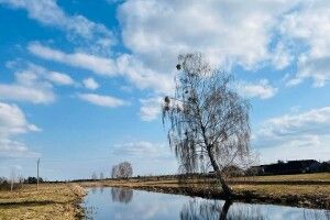 Березнева посуха: в Шацькому нацпарку фіксують низький рівень води