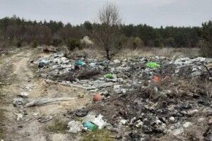 Підготовка до Великодня на Волині: в хаті прибирають, в лісі - смітять
