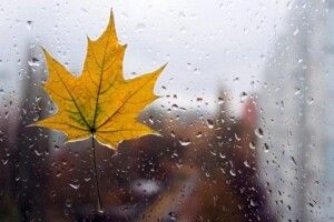 Дощ зі снігом: якою буде погода на Волині