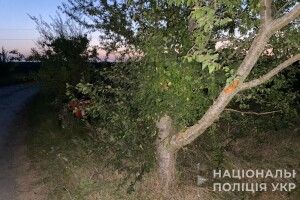 На Волині дві школярки на квадроциклі врізалися в дерево