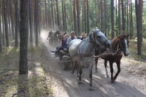 У Липному відгримів четвертий патріотичний фестиваль «Криївка Перця» (фото)