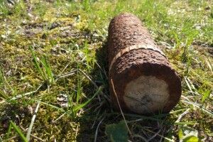 На Волині на могилі Невідомомому солдату знайшли… снаряд