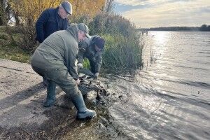 У Ковелі зарибили річку
