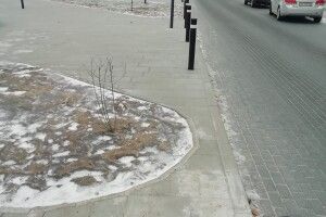 На щойно висадженому газоні біля РАГСу пішоходи вже протоптали стежку (Фото)
