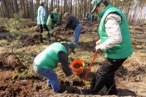 Працівники Любешівської райдержадміністрації допомагали лісівникам