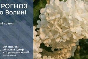 Якою буде погода сьогодні  на Волині