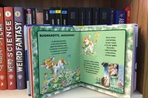 Такої в Україні ще не було!