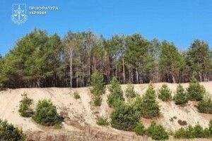 Суд заборонив видобуток піску на «Старовижівському Буковелі» на Волині