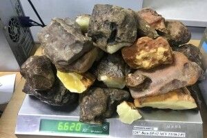 «Сонячний камінь» з України намагалися вивезти в ОАЕ і Катар (Фото)