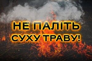 У мальовничому волинському селі горів сухостій