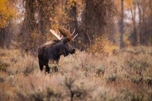 Погода на п'ятницю, 20 листопада: пiвнiчно-захiдний вітер тепла не принесе