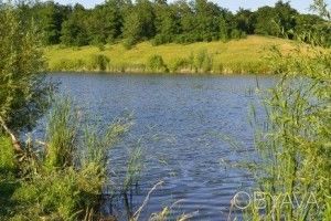 У Березовичах хочуть повернути ставок громаді