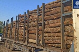 У Ковелі зупинили вантажівку з повним прицепом деревини (Фото)
