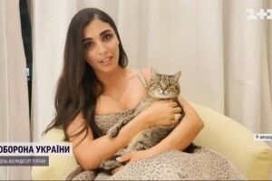 Вручала премію Санта Дімопулос: кіт Степан із Харкова здобув престижну нагороду у Каннах