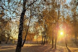 Сьогодні на Ковельщині будуть наводити порядок