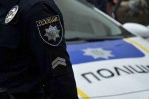 Жінку, котра вдарила патрульну в обличчя, позбавлять волі