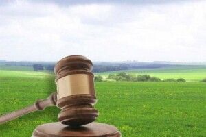 У Луцьку через аукціон продадуть 5 земельних ділянок 