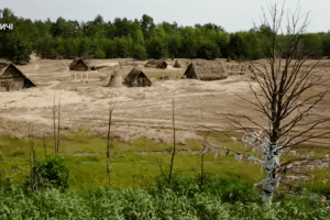 Фільми «Пофарбоване пташеня», знятий на Волині, можна переглянути онлайн