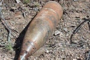 На Волині школяр знайшов снаряд у лісопосадці