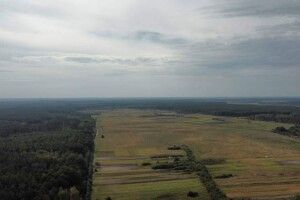 На Рівненщині зловили палія, він заплатить штраф