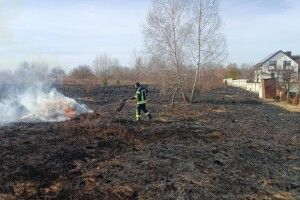 На Волині упіймали підпалювача сухої трави