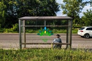 У місті на Волині підняли вартість проїзду в маршрутках