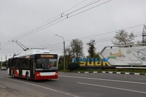 Піднімають вартість проїзду в луцьких тролейбусах 