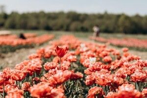 У громаді на Волині сім'ям воїнів показали унікальні краєвиди (Фото)