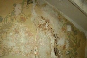 У під'їзді під побілкою знайшли унікальний малюнок відомого художника